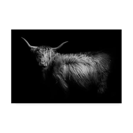 PhotoINC Studio 'Hello Highland Cow' Canvas Art,12x19